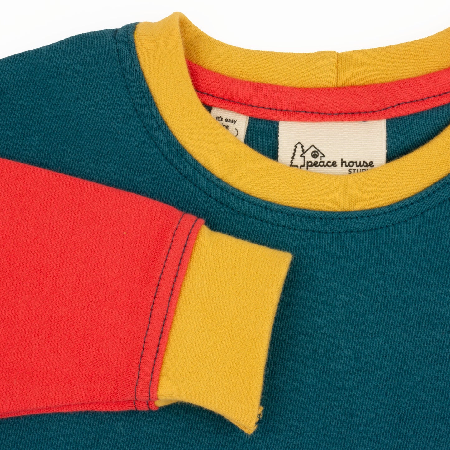 Colorblock Sweatshirt for Toddlers Collar - Dragonfly