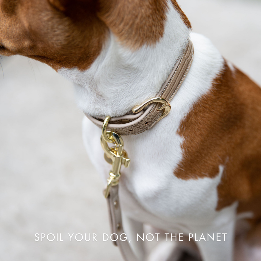 Dog wearing a Nina Woof vegan leather dog collar in beige with a matching leash, text 'SPOIL YOUR DOG, NOT THE PLANET' on a light background