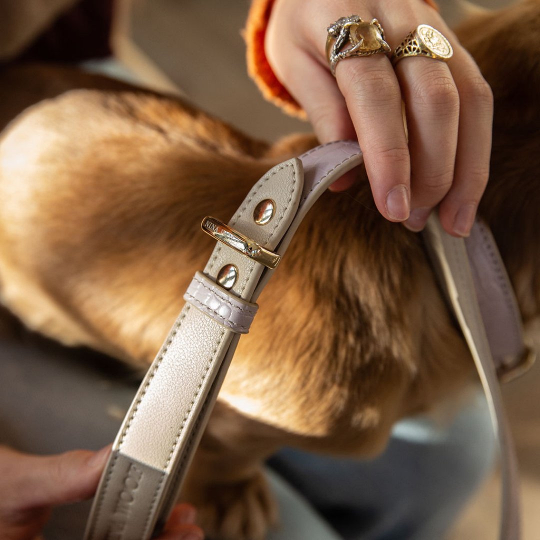 Person adjusting a Nina Woof Vegan Leather Dog Leash and matching dog collar on a brown dog with a blurred background